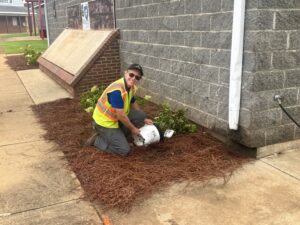 Ketch Daniel works with landscaping in Opelika.