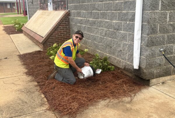 Ketch Daniels working with pine straw next to building