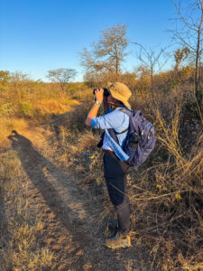 Ortel is seen observing wildlife during a study abroad trip to South Africa. 