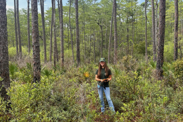 Anna Warren standing in pine forest