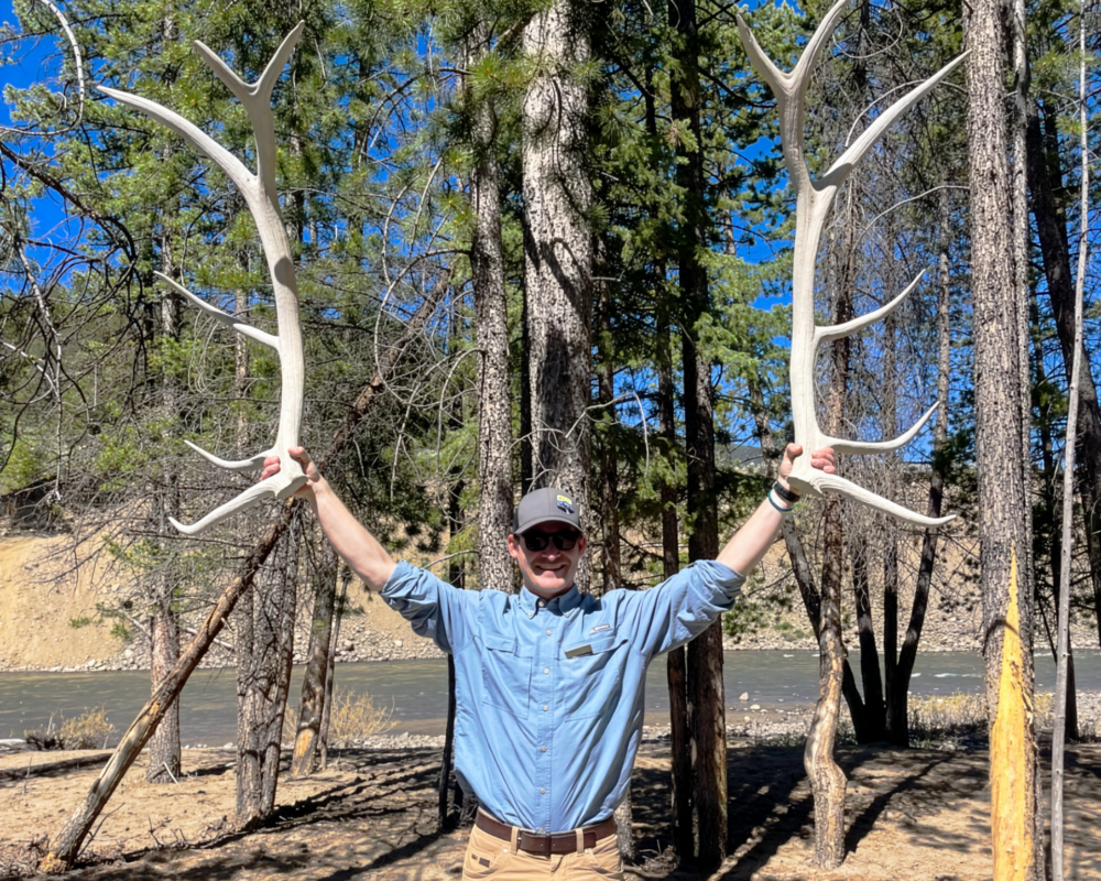A man holds up Elk antlers in his hands.