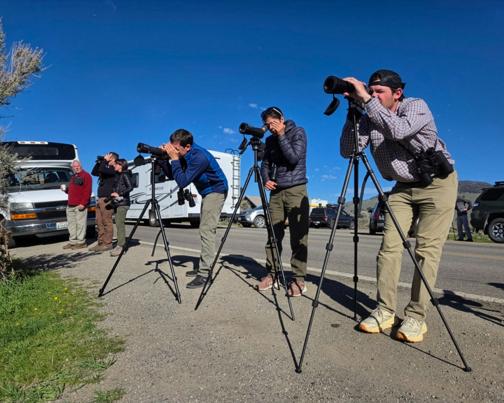 A group of people look thorugh optics on a road.