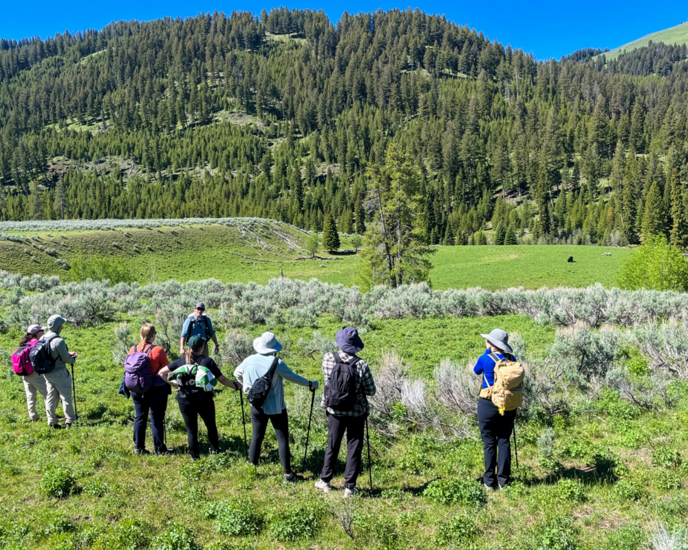 A group of people observes a mountain while on a hike.