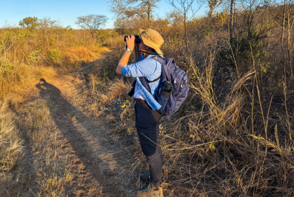 Courtney Ortel looks through binoculars in the African Bush.